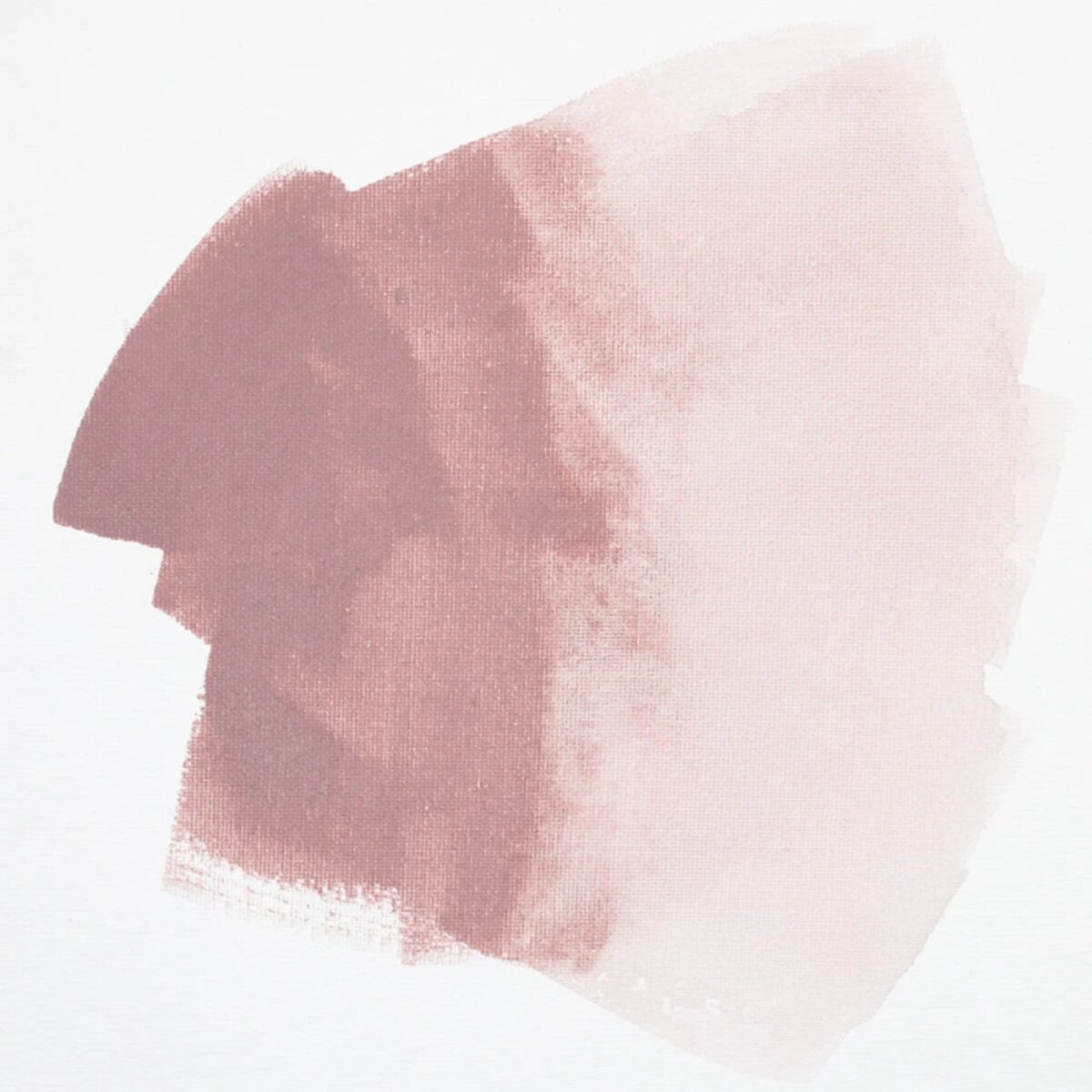 Aquarylic Color 30 ml Acrylfarbe Strandrosa