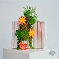 Herrnhuter Miniaturstern Sonderedition 2026 apricot ca. 8cm, Plastik, inkl. LED E5,5