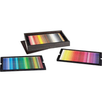 Polychromos 120er Holzkassette Special Edition