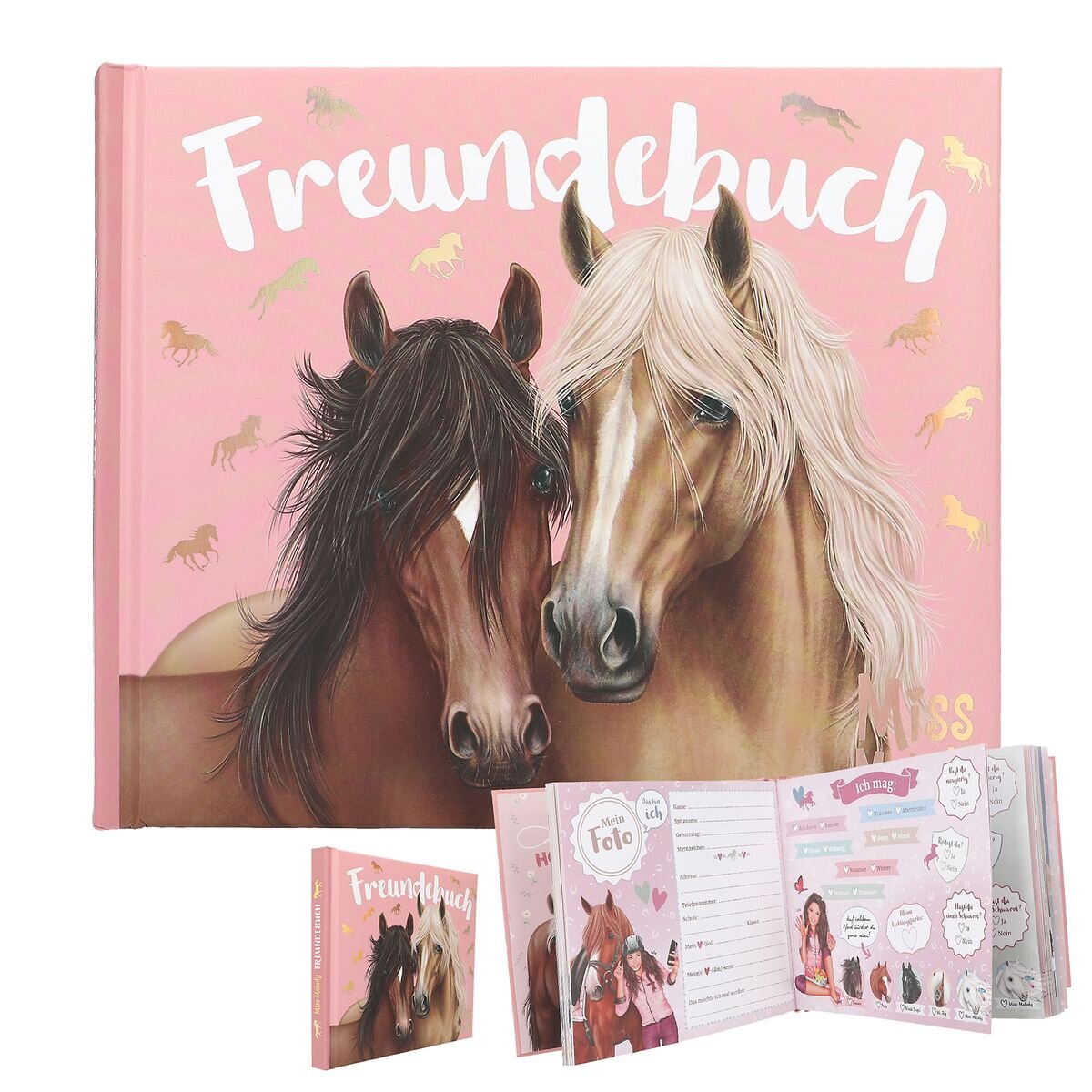 DEPESCHE 13198 Miss Melody Freundebuch, Motiv 2