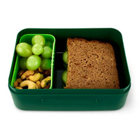 ergobag-brotdose-baerni-blau-tuerkis-FB9B89494.jpg