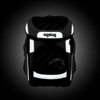 ergobag cubo Schulranzen-Set Truckbär 5-teilig special edition 19 Liter blau grün