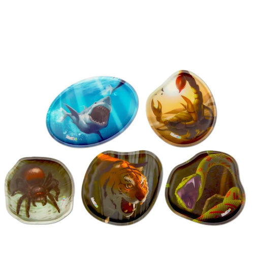 ergobag Kontur Kletties-Set Gefährliche Tiere, 5-teilig bunt 10 x 0,4 x 9 cm