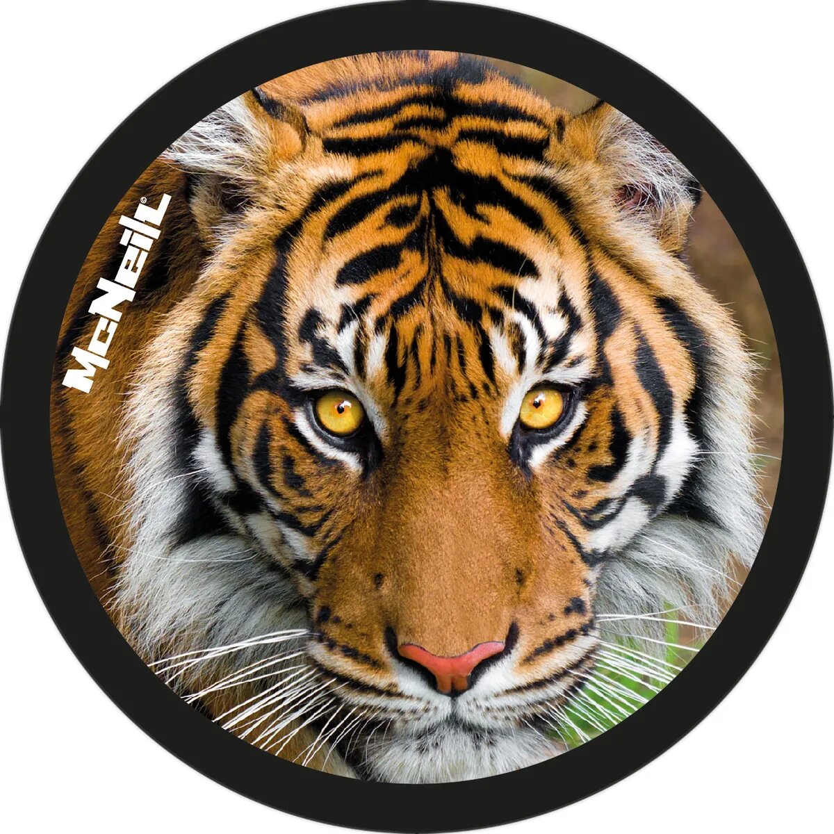 McAddys zu Schulranzen gefährliche Tiere: Tiger