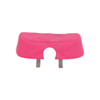 school-mood-neoncap-champion--46EE473D1.jpg